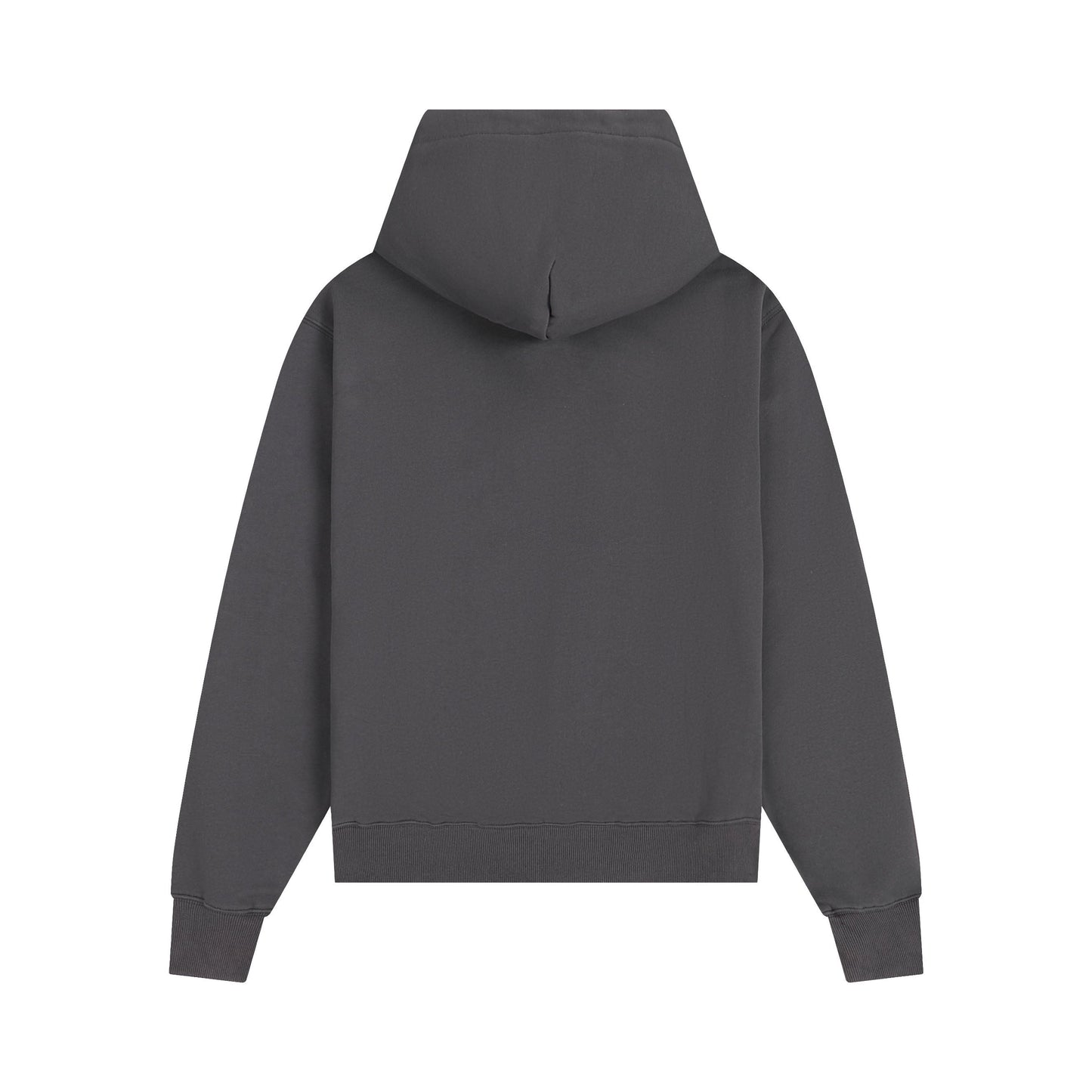 Ami Hoddie 302